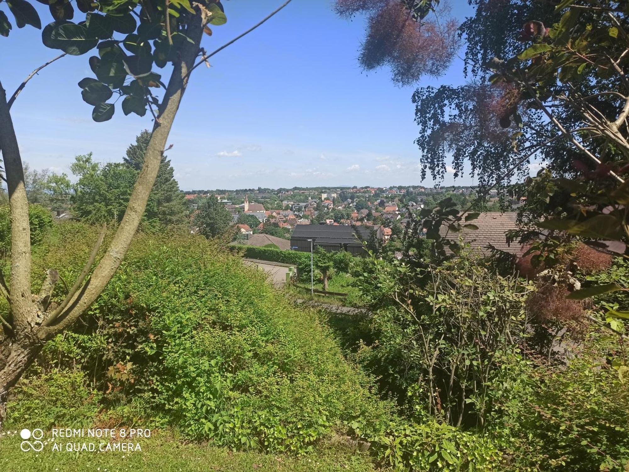 Haus Roetebuck Apartment Mullheim  Bagian luar foto